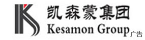 凯森蒙集团有限公司